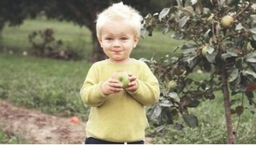 Child, in Joliette, eating an apple from an apple tree planted by Emondage Joliette.
